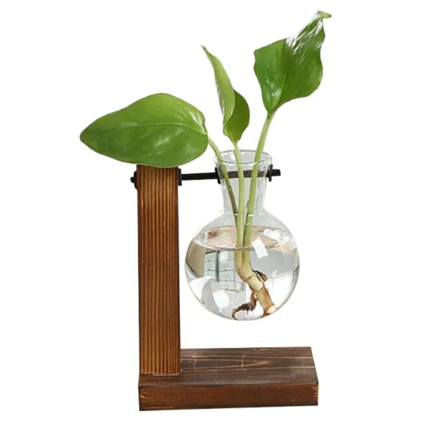 Terrarium Plant Vase