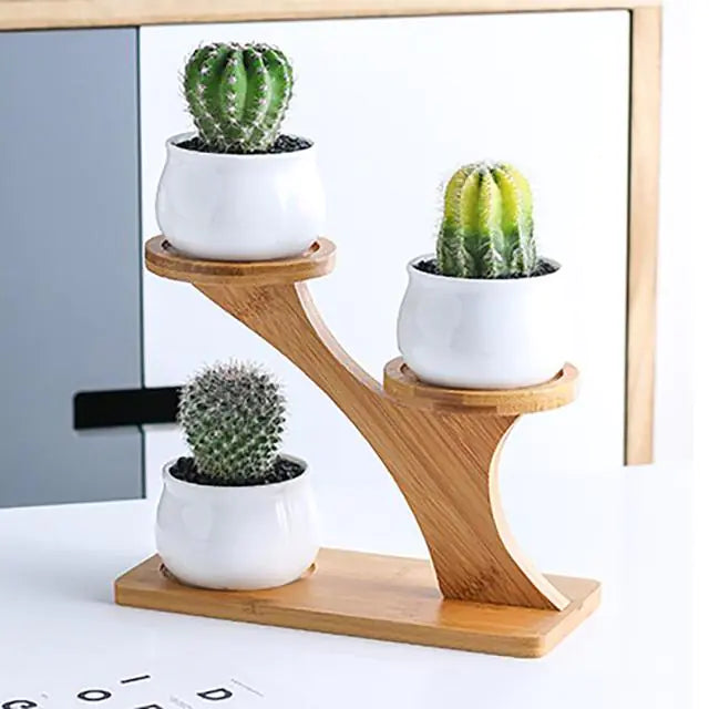 White Ceramic Succulent Pots with Bamboo Stand - 4 Styles Available