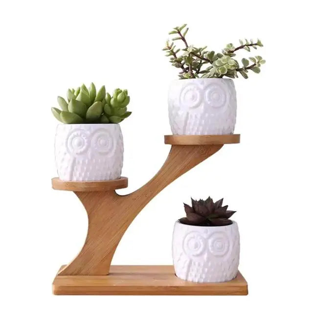 White Ceramic Succulent Pots with Bamboo Stand - 4 Styles Available