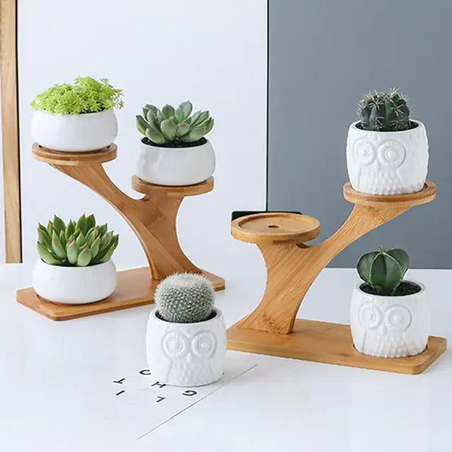 White Ceramic Succulent Pots with Bamboo Stand - 4 Styles Available